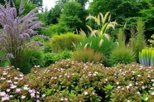 Krzewy rodzime do ogrodu naturalistycznego – lista i zastosowanie