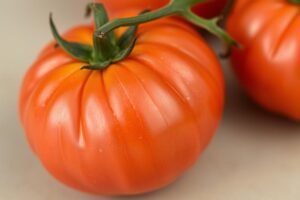 Top 10 najlepszych odmian pomidorów – przewodnik dla ogrodników