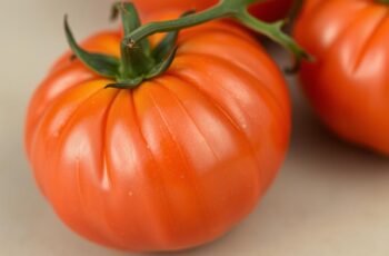 Top 10 najlepszych odmian pomidorów – przewodnik dla ogrodników