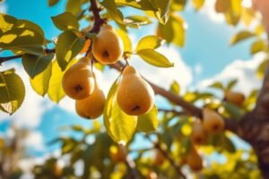 Grusza: dlaczego nie zawiązuje owoców? 7 przyczyn, które łatwo przeoczysz